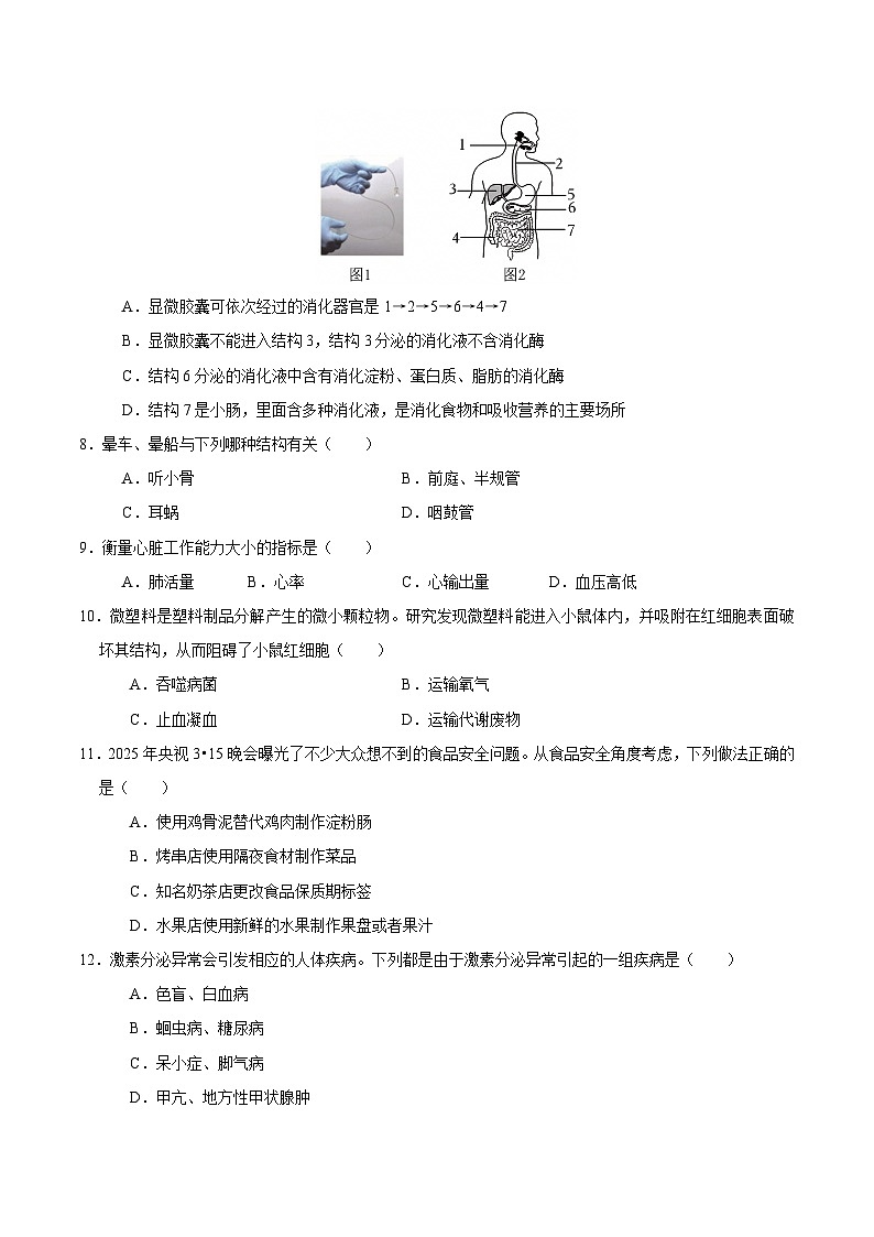 2025年北师版七年级下册生物期末测试卷第2页