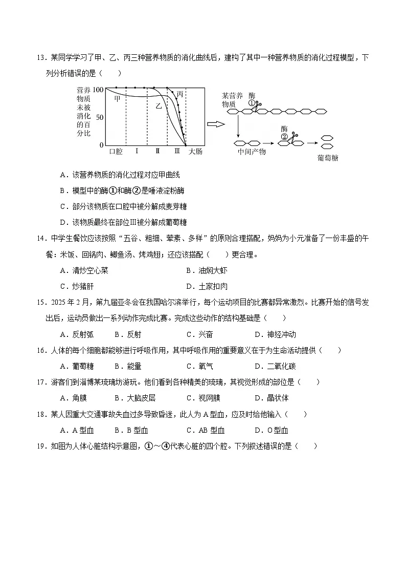 2025年北师版七年级下册生物期末测试卷第3页