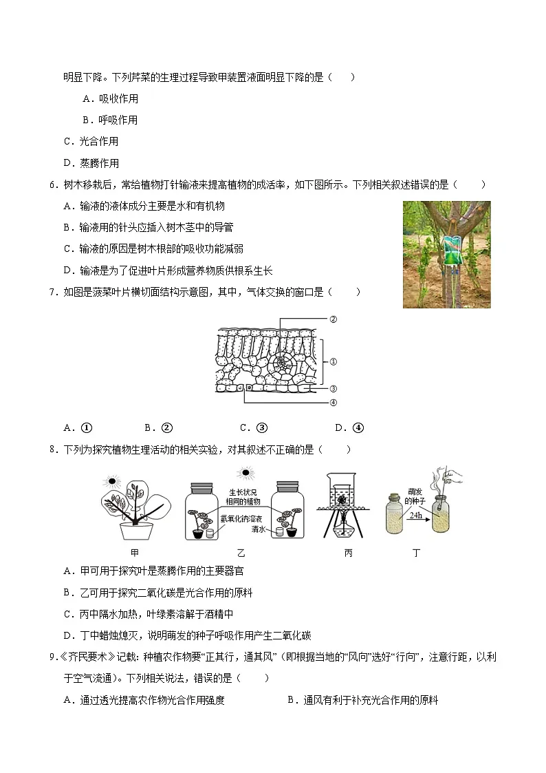 2025年人教版七年级下册生物期末测试卷02第2页