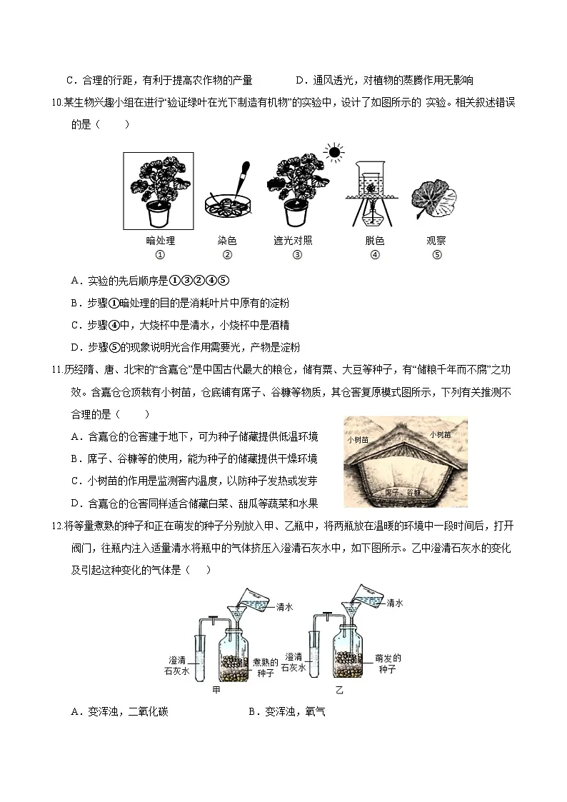 2025年人教版七年级下册生物期末测试卷02第3页
