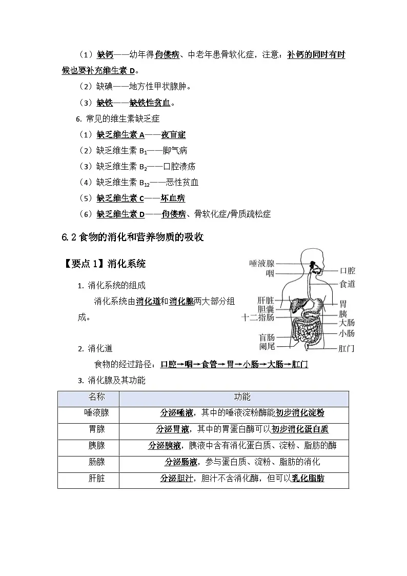 北师大版（2024）七年级下册生物期末复习全册考点背诵提纲 学案第2页