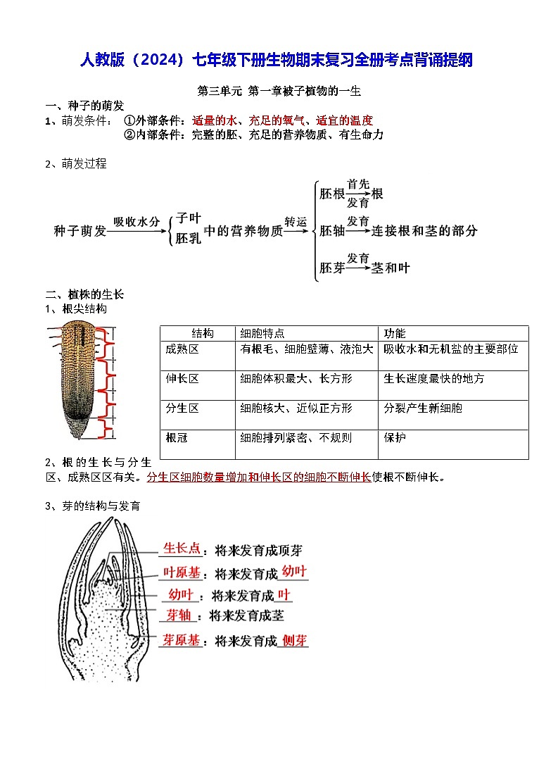 人教版（2024）七年级下册生物期末复习全册考点背诵提纲 学案第1页