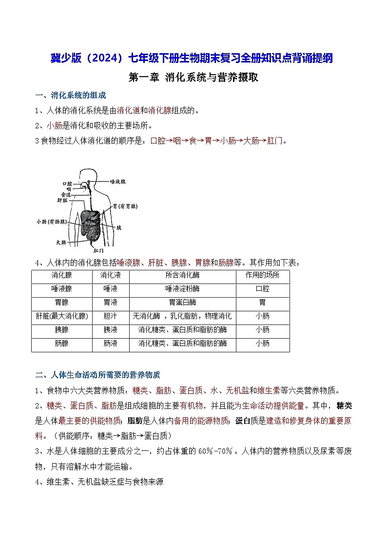 冀少版（2024）七年级下册生物期末复习全册知识点背诵提纲 学案第1页