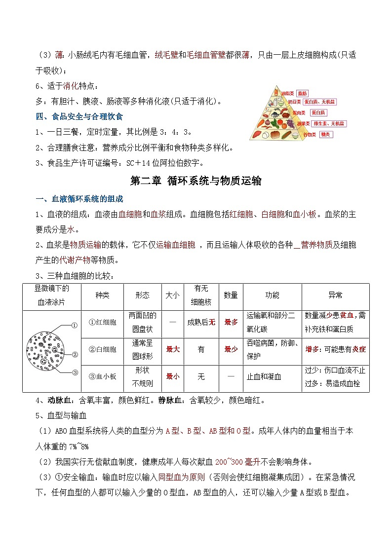 冀少版（2024）七年级下册生物期末复习全册知识点背诵提纲 学案第3页