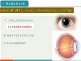 【新教材新課標(biāo)】人教版生物八年級上冊4.6.1《人體對外界環(huán)境的感知 第1課時(shí)  眼和視覺 》課件