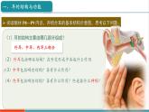【新教材新課標(biāo)】人教版生物八年級上冊4.6.1《人體對外界環(huán)境的感知 第2課時(shí)  耳和聽覺 》課件+視頻素材