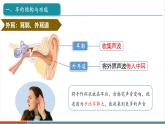【新教材新課標(biāo)】人教版生物八年級上冊4.6.1《人體對外界環(huán)境的感知 第2課時(shí)  耳和聽覺 》課件+視頻素材