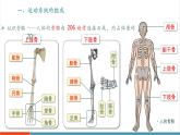 【新教材新課標(biāo)】人教版生物八年級上冊4.6.3《神經(jīng)系統(tǒng)支配下的運(yùn)動》課件+視頻素材