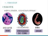 【新教材新課標(biāo)】人教版生物八年級上冊4.7.1《傳染病及其預(yù)防》課件