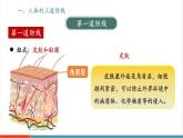 【新教材新課標(biāo)】人教版生物八年級(jí)上冊(cè)4.7.2《免疫與免疫規(guī)劃 第1課時(shí) 三道防線》課件+視頻素材