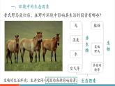 【新教材新課標(biāo)】人教版生物八年級(jí)上冊(cè)5.1.1《生物與環(huán)境的相互作用》課件+視頻素材