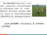 【新教材新課標】人教版生物八年級上冊5.2.1《分析人類活動對生態(tài)環(huán)境的影響》課件+視頻素材