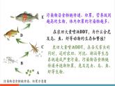 【新教材新課標】人教版生物八年級上冊5.2.1《分析人類活動對生態(tài)環(huán)境的影響》課件+視頻素材