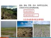 【新教材新課標(biāo)】人教版生物八年級(jí)上冊5.2.2《維護(hù)生態(tài)安全》課件+視頻素材