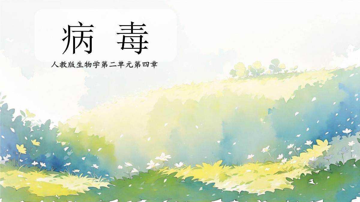 2.3.4 病毒 课件 2025-2026学年人教版七年级生物上册第1页