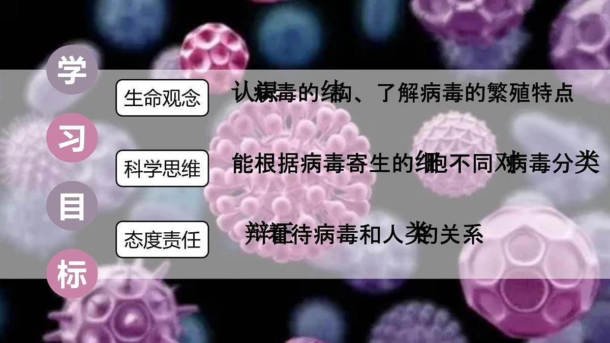 2.3.4 病毒 课件 2025-2026学年人教版七年级生物上册第3页