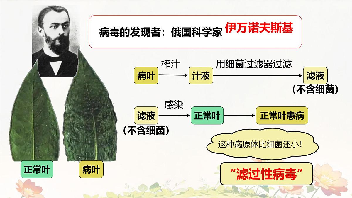 2.3.4 病毒 课件 2025-2026学年人教版七年级生物上册第4页
