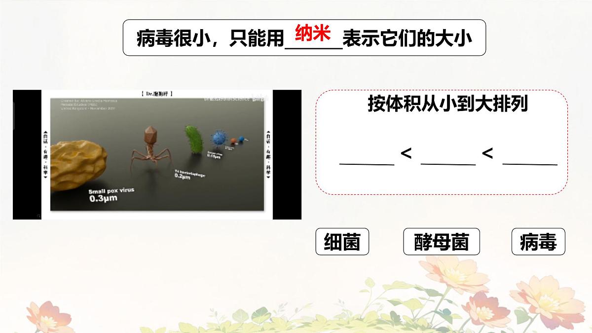 2.3.4 病毒 课件 2025-2026学年人教版七年级生物上册第6页