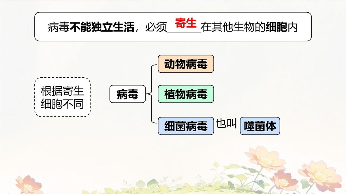 2.3.4 病毒 课件 2025-2026学年人教版七年级生物上册第8页