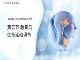 3.5.5 激素與生命活動調(diào)節(jié) 課件 生物冀少版（2024）七年級下冊第三單元
