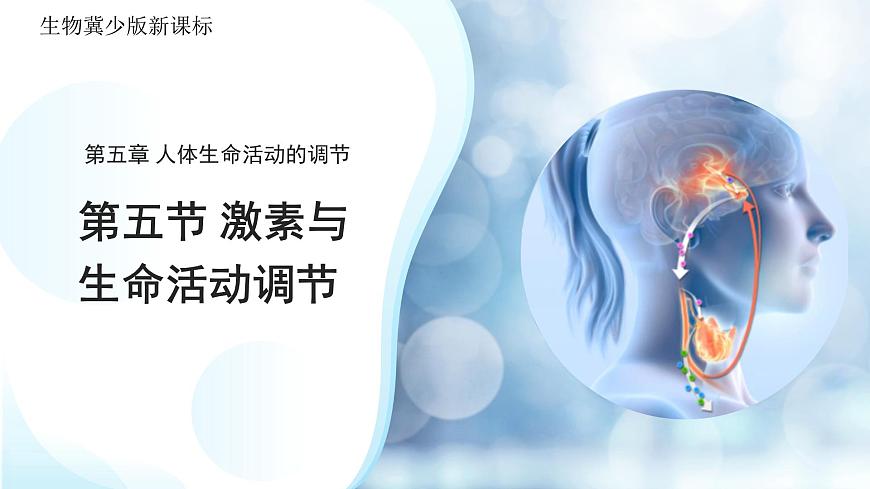 3.5.5 激素与生命活动调节 课件 生物冀少版（2024）七年级下册第三单元第1页