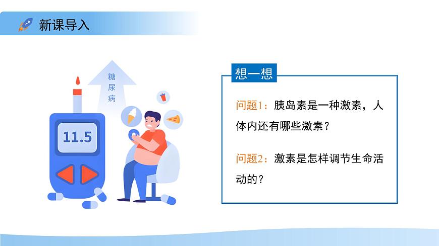 3.5.5 激素与生命活动调节 课件 生物冀少版（2024）七年级下册第三单元第4页