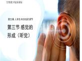 3.5.3感覺的形成——聽覺 課件 生物冀少版（2024）七年級下冊第三單元