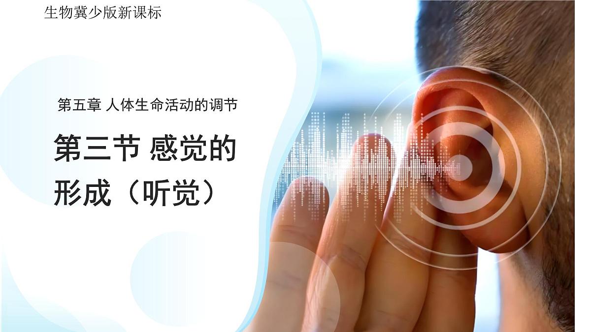 3.5.3感觉的形成——听觉 课件 生物冀少版（2024）七年级下册第三单元第1页
