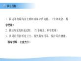 3.5.3感覺的形成——聽覺 課件 生物冀少版（2024）七年級下冊第三單元