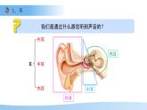 3.5.3感覺的形成——聽覺 課件 生物冀少版（2024）七年級下冊第三單元