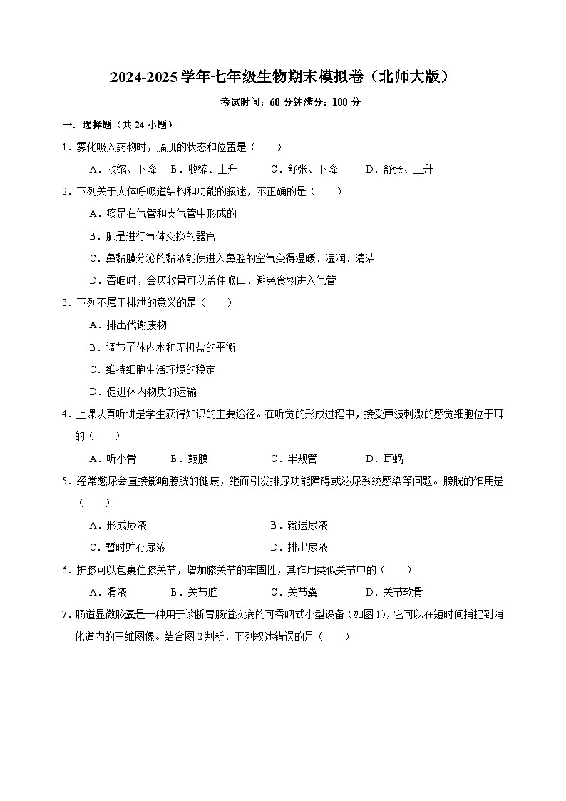 2024-2025学年七年级生物期末模拟卷（含答案）（北师大版)第1页