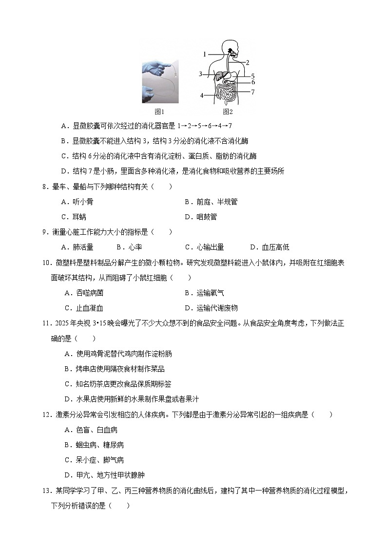 2024-2025学年七年级生物期末模拟卷（含答案）（北师大版)第2页