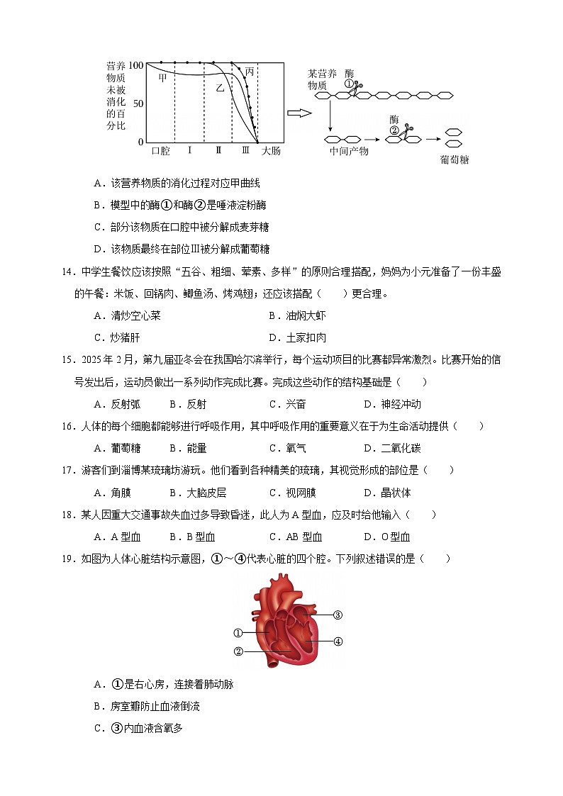 2024-2025学年七年级生物期末模拟卷（含答案）（北师大版)第3页