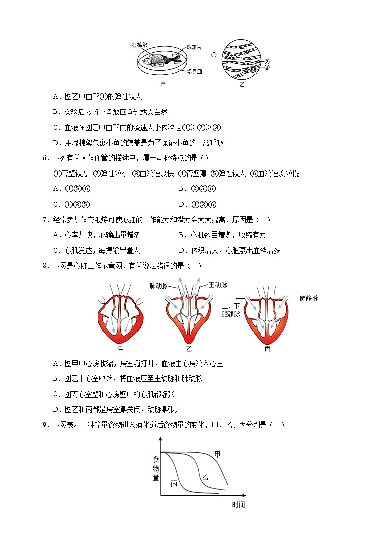 2024-2025学年七年级下学期生物期末模拟试卷（含答案）（冀少版2024）第2页