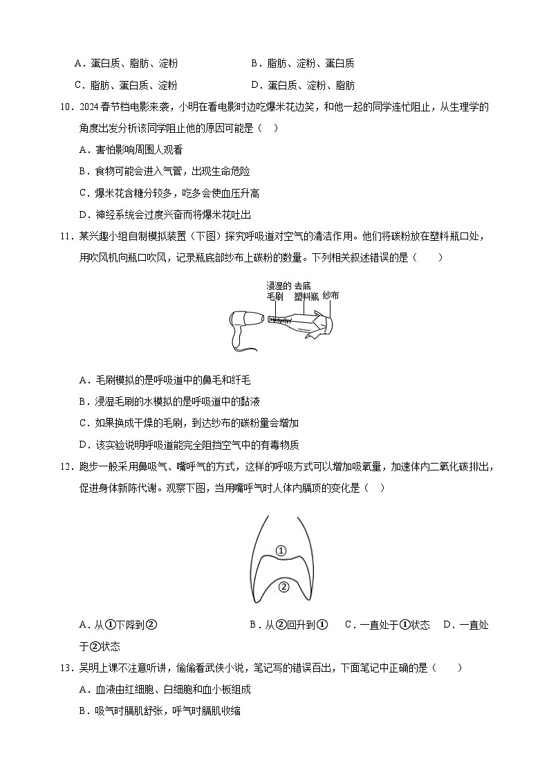 2024-2025学年七年级下学期生物期末模拟试卷（含答案）（冀少版2024）第3页