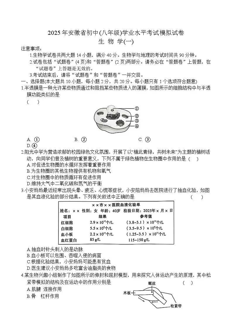 安徽省2025年初中学业水平考试6月份模拟试卷(定心卷) 生物试题（一）第1页