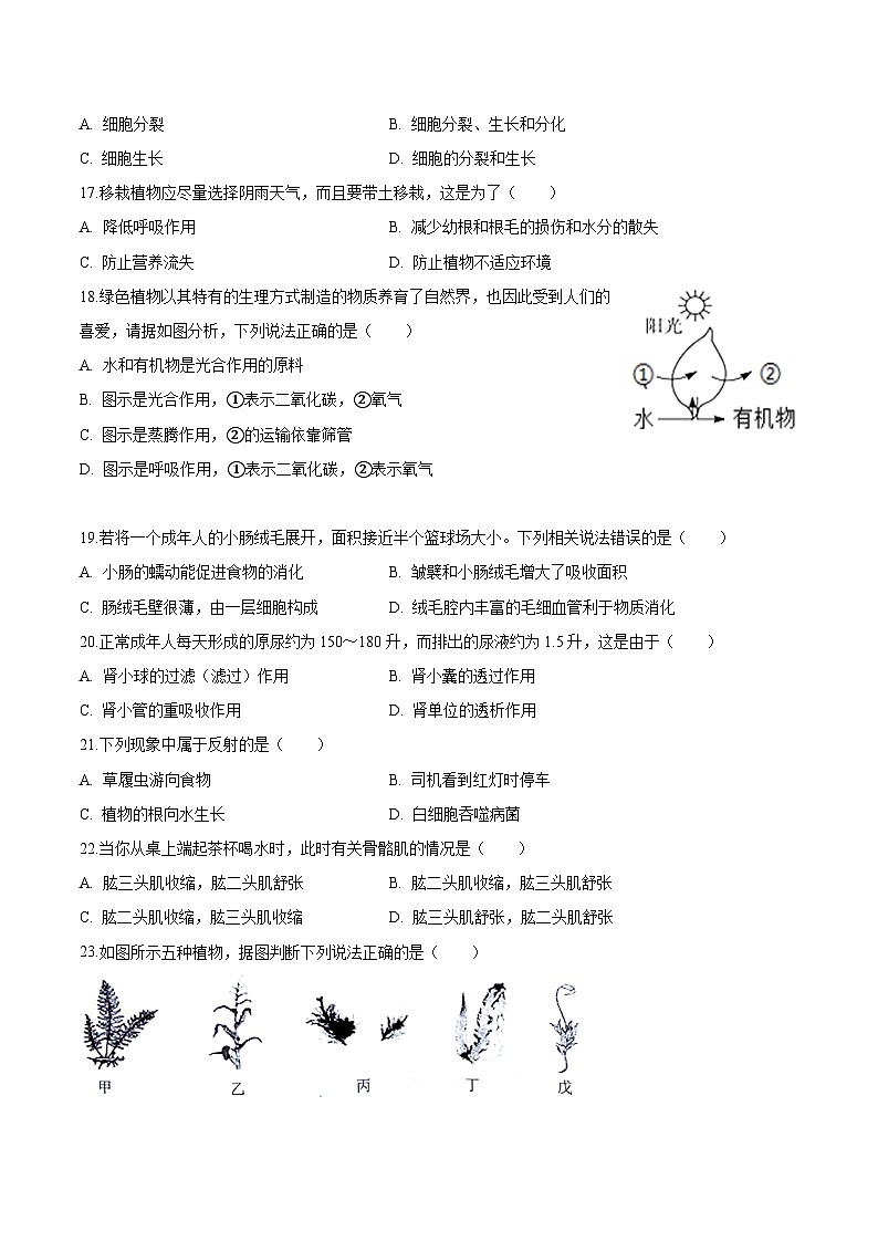 北京市西城区2025年中考 生物模拟练习卷第3页