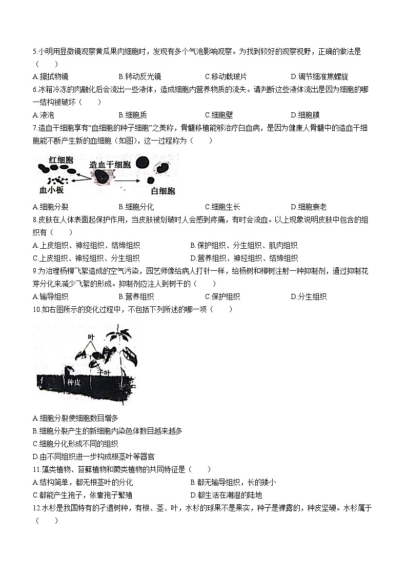 河南省漯河市舞阳县2023-2024学年七年级上学期期末考试生物试题(无答案)第2页