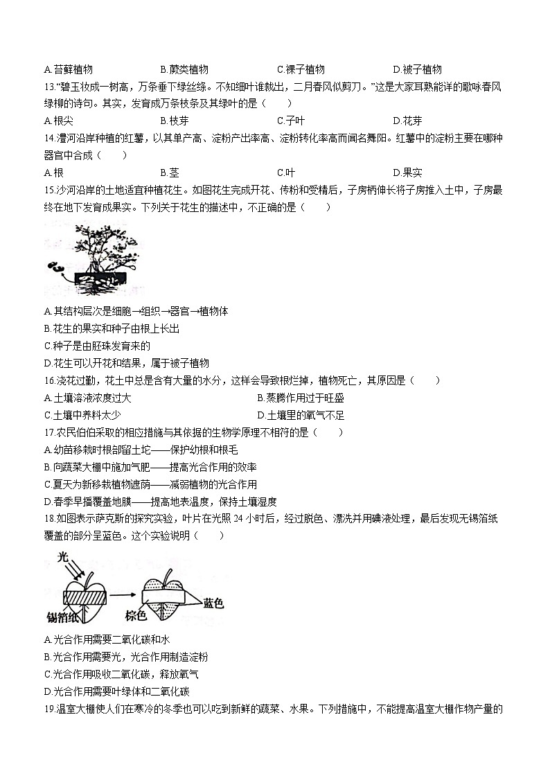 河南省漯河市舞阳县2023-2024学年七年级上学期期末考试生物试题(无答案)第3页