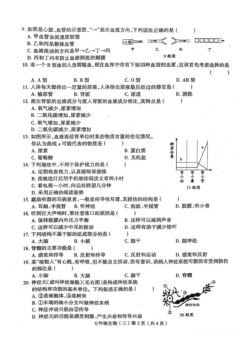 河南省周口市郸城县2023-2024学年七年级下学期5月月考生物试题第2页