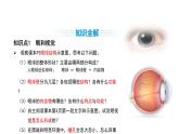 人教版（2024）生物八年級上冊4.6.1 人體對外界環(huán)境的感知（課件）