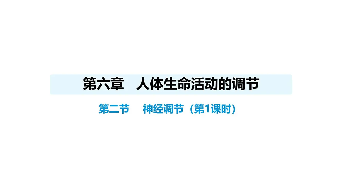 人教版（2024）生物八年级上册4.6.2 神经调节（第1课时）（课件）第1页