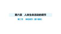 人教版（2024）八年级上册（2024）第二节 神经调节教案配套ppt课件