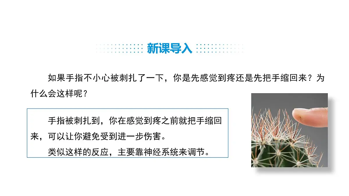 人教版（2024）生物八年级上册4.6.2 神经调节（第1课时）（课件）第2页