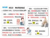人教版（2024）生物八年級上冊4.6.2 神經(jīng)調(diào)節(jié)（第1課時(shí)）（課件）