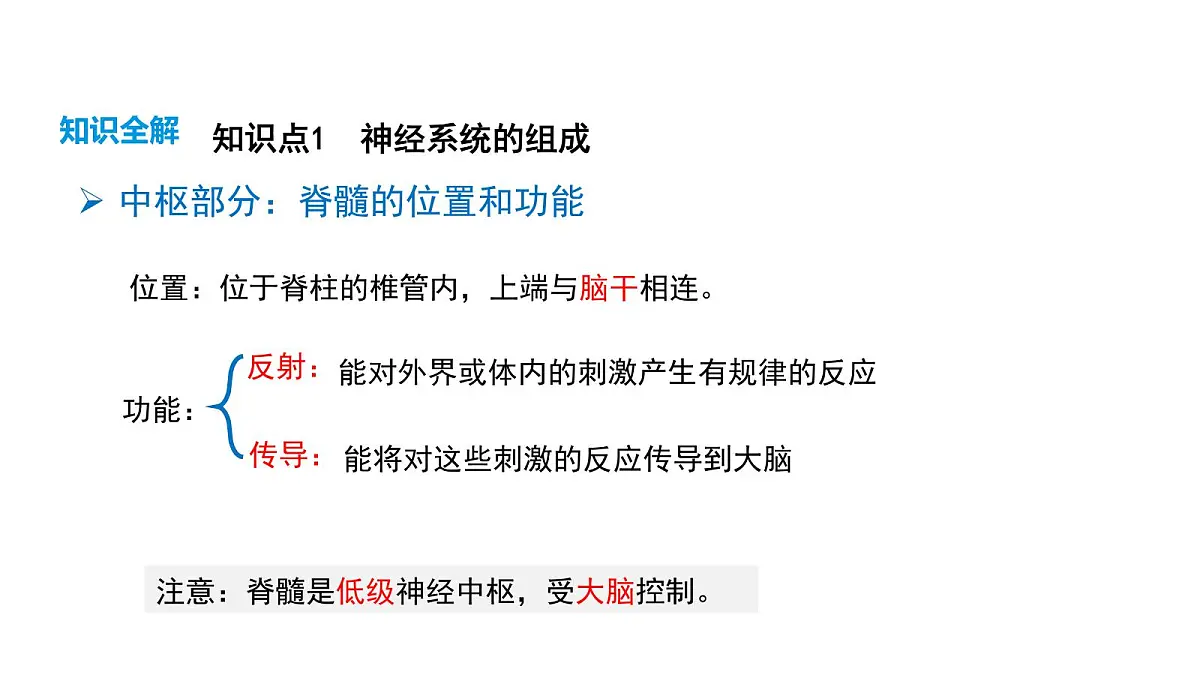 人教版（2024）生物八年级上册4.6.2 神经调节（第1课时）（课件）第8页