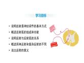 人教版（2024）生物八年級(jí)上冊(cè)4.6.2 神經(jīng)調(diào)節(jié)（第2課時(shí)）（課件）