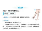 人教版（2024）生物八年級(jí)上冊(cè)4.6.2 神經(jīng)調(diào)節(jié)（第2課時(shí)）（課件）