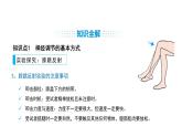 人教版（2024）生物八年級(jí)上冊(cè)4.6.2 神經(jīng)調(diào)節(jié)（第2課時(shí)）（課件）