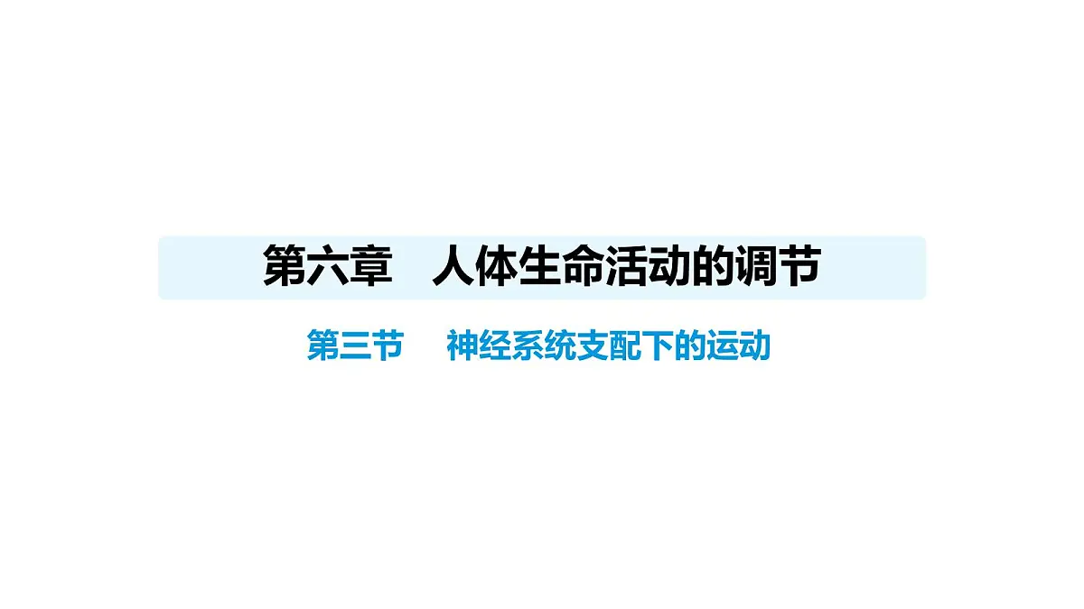 人教版（2024）生物八年级上册4.6.3 神经系统支配下的运动（课件）第1页